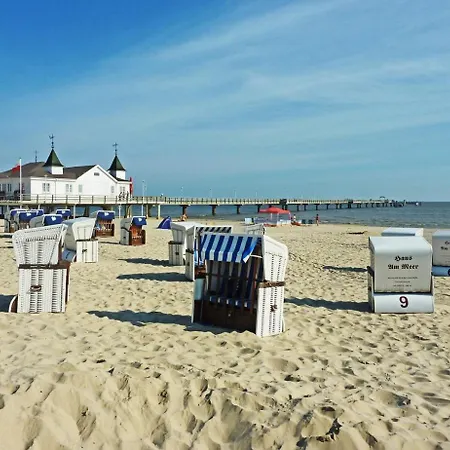 Apartment Bergstrasse Whg Strandmuschel Ostseebad Heringsdorf